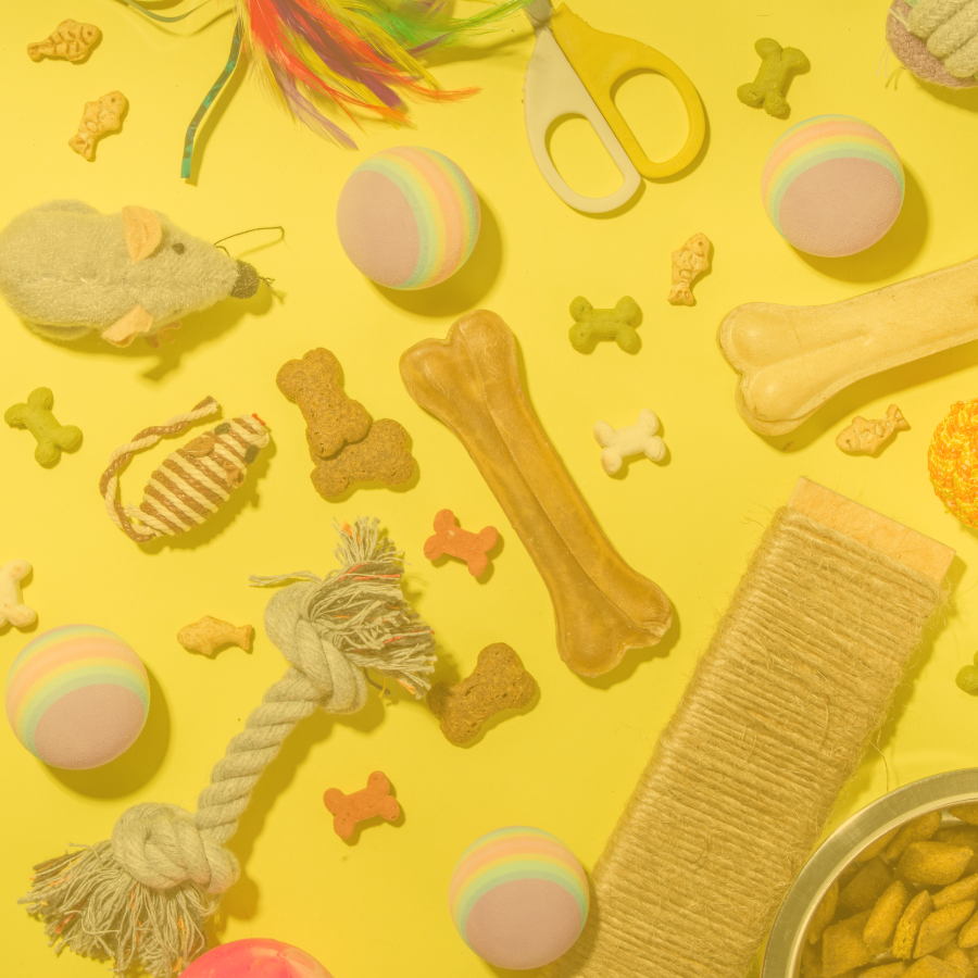 Mascotas & Accesorios